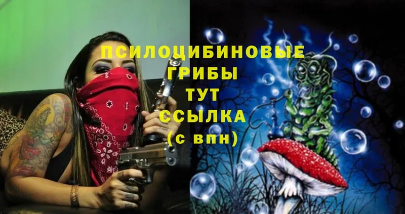 Галлюциногенные грибы MAGIC MUSHROOMS  Осинники 